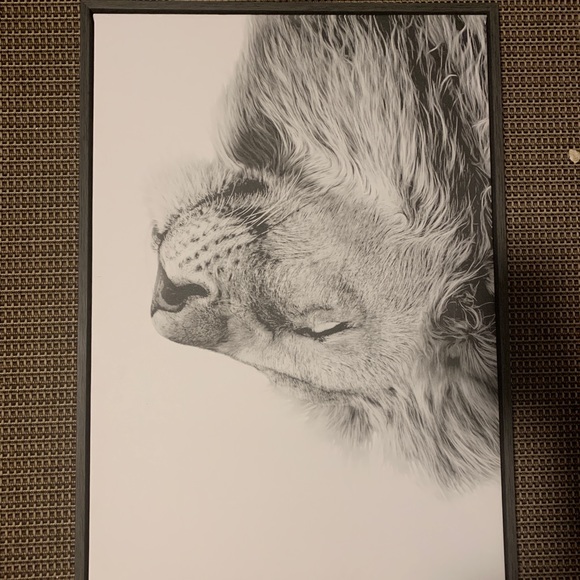 Lion canvas wooden border - Picture 1 of 6